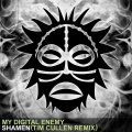 my digital enemy - Shamen