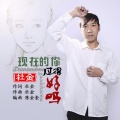 杜金 - 现在的你过得好吗