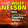 Willy Nelson - Funny How Time Slips Away