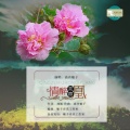 高音敏子 - 情醉芙蓉凰