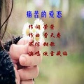 傲雪藏梅 - 痛苦的爱恋
