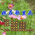 韩晓辉、于全莉 - 妹在歌里头