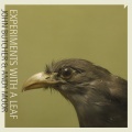 John Butcher、Andy Moor - Five Eyes