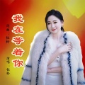 刘芝怡 - 我在等着你