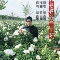 蔡吉亭 - 错把别人看成你