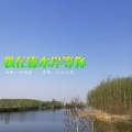 沁心小筑 - 我在溱水岸等你
