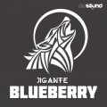 Blueberry