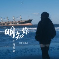 胖球鱼 - 明知你不再回来