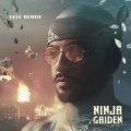 Ninja Gaiden (Explicit)