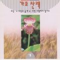 가요산책 1집(애심/못잊겠어요)