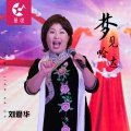 刘爱华 - 梦见哈达