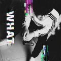 YC艺辞 - Sentiment Species
