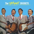 The Crickets - You've Got Love