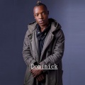 Dominick - Fall in Love