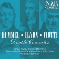 südwestdeutsches kammerorchester pforzheim、Sergej Krylov、Vladislav Czarnecki、Stefania Mormone - I. Allegro