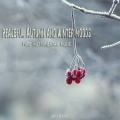 Peaceful Autumn & Winter Moods (Pure Instrumental Music)