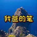 我爸的笔