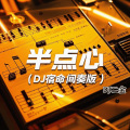 DJ二金 - 半点心 (DJ宿命间奏版)