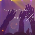 Dancer In The Dark