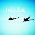王强 - 新的启航