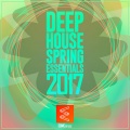 Deep House Spring Essentials 2017