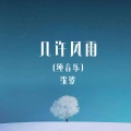 几许风雨 (纯音乐)
