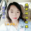 虞彩华 - 鹊桥啊 何时建 (女声版)