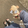 走后
