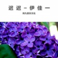 伊佳一 - 迟迟 (伴奏)