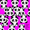 Sleeping Panda - Your Eyes Tell