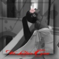 Robirt、Shiah Maisel - Romantic Mint (feat. Shiah Maisel)