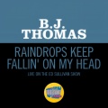 Raindrops Keep Fallin' On My Head (Live On The Ed Sullivan Show, January 25, 1970)