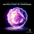 Revolution in Paradise (Radio Edit)