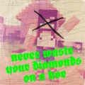 Never Waste Your Diamonds on a Hoe (Explicit)