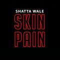 Shatta Wale - Skin Pain