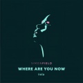 Simon Field、iiola - Where Are You Now