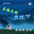 陈晓明 - 在银色的月光下