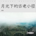 音乐人-小锦鲤 - 千年时光中的山水眷恋
