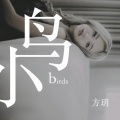 方荷漪方玥 - 小鸟