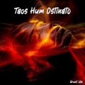 Taos Hum Ostinato