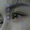 再见亦是眼泪 (DJ版)