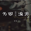 为何流泪 (男声版)