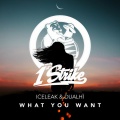 Iceleak、Dualhï - What You Want