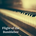 Flight of the Bumblebee