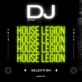 House Legion - Galaxy