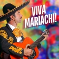Mexican Mariachi Band - Tu Y Las Nubes