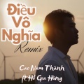 Cao Nam Thành、Hồ Gia Hùng - Điều Vô Nghĩa Remix