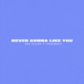 NEVER GONNA LIKE YOU (Clean Version)