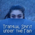 Lo Fi Playlist、Massage Spa Academy、Rain Hard - In Transit