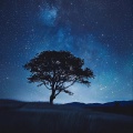 Healing music for sleep - 自律神経に働きかける心地よい音楽